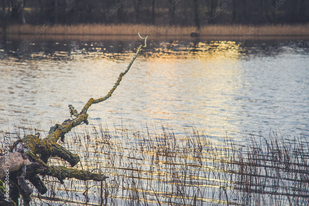 View of the lake in autumn