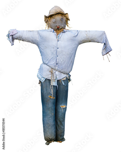 Spooky Isolated Scarecrow photo