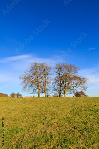 Winter Sussex Landscape