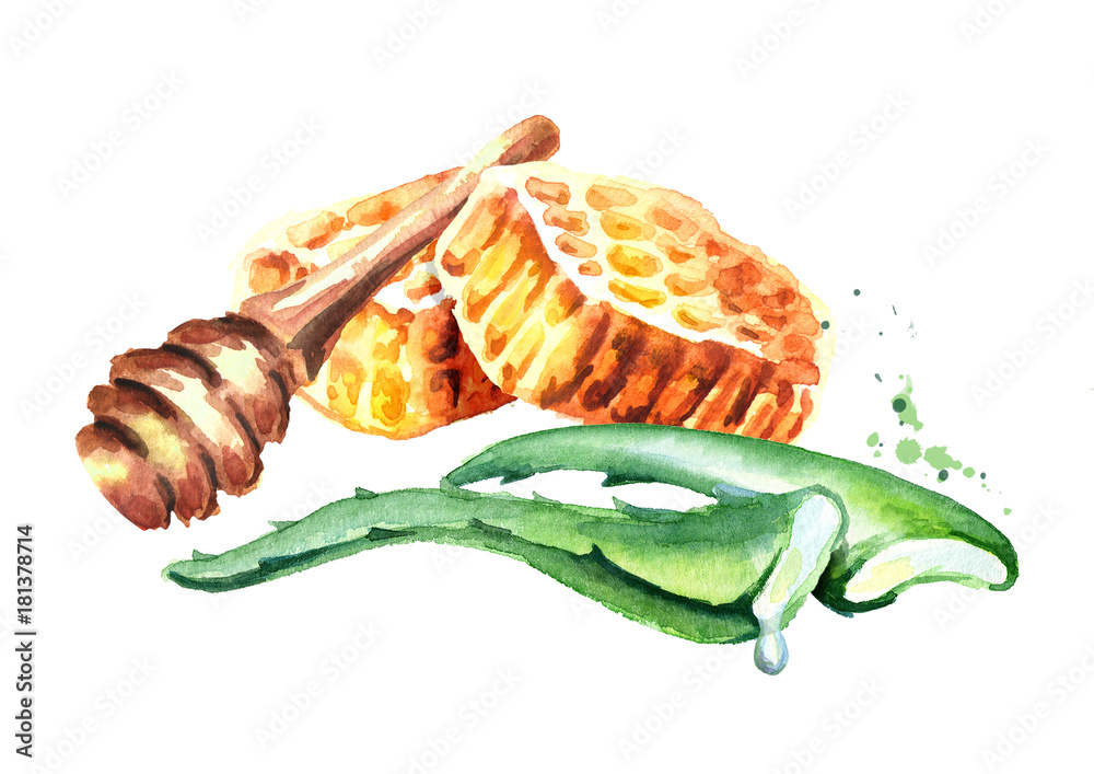 Naklejka premium Honey and Aloe. Watercolor hand drawn illustration