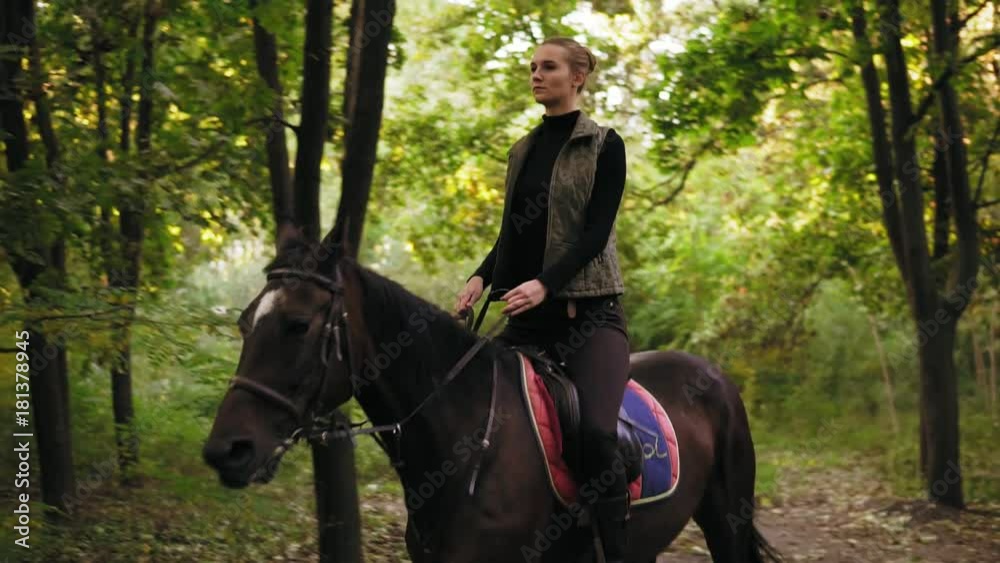 Young cowgirl rides a horse during sunny day in the forest. Galloping in the forest Young cowgirl rides a horse during sunny day in the forest. Galloping in the forest