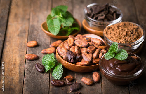 Cocoa beans and dark chocolate with mint © pilipphoto
