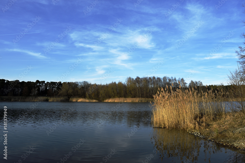 Winterlicher See mit blauen Himmel und Wolken, Wintry lake with blue sky and clouds