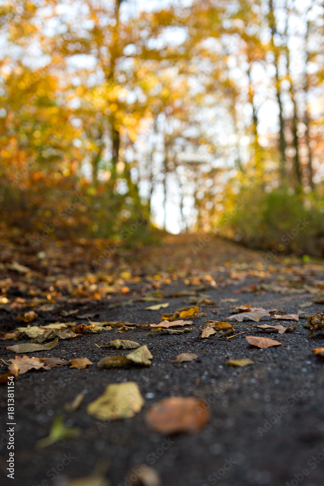 Bunte Wanderwege im Norden