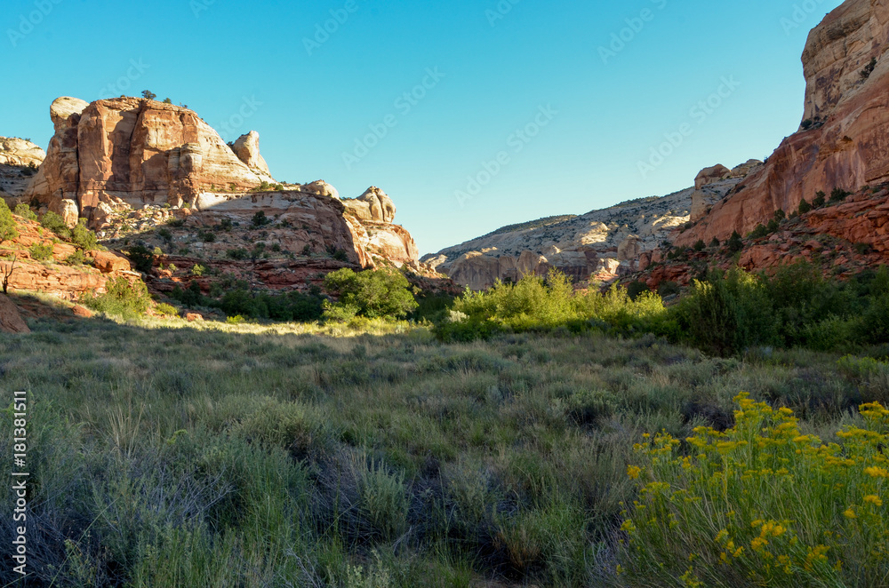 Navajo sandstone cliffs in the morning
Calf Creek Canyon, Grand Staircase - Escalante National Monument, Utah