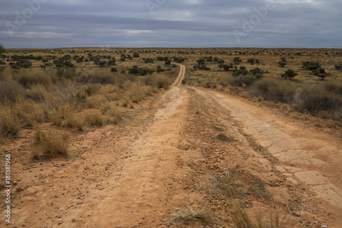 Hay River Track in the Simpson Desert  Northern Territory  Australia