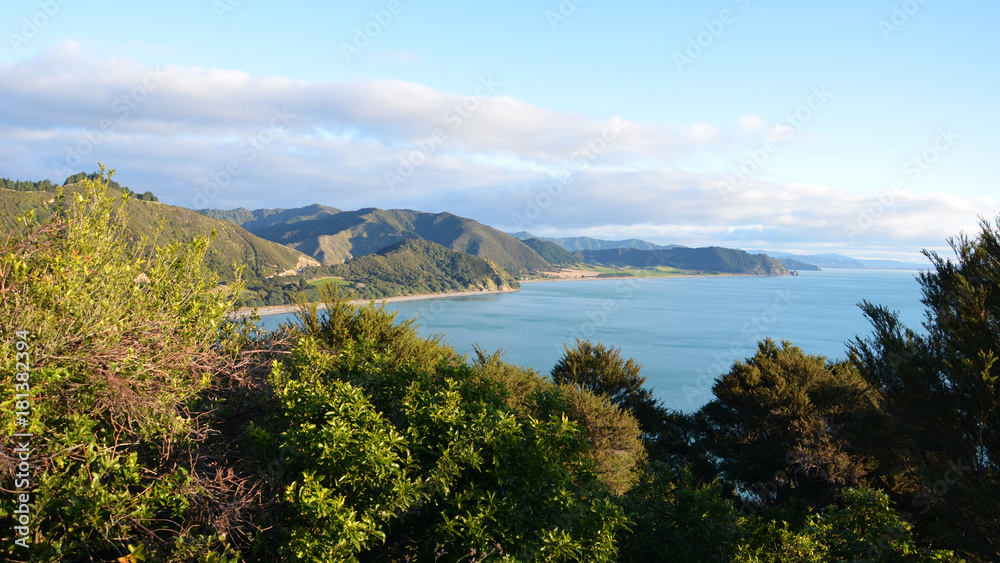 Panoramic view of East Cape coast in New Zealand's north island