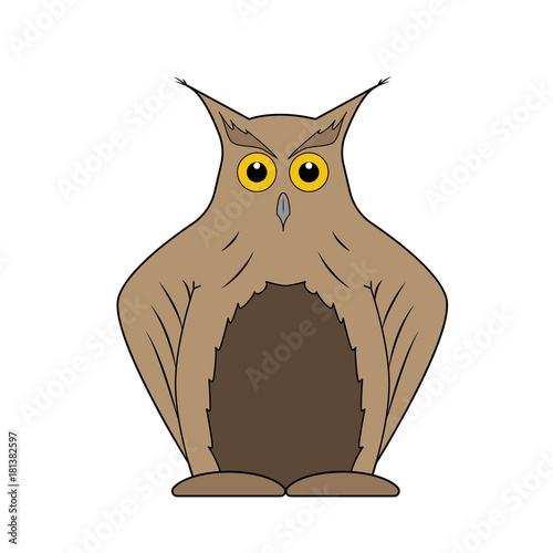 Brown owl on white background