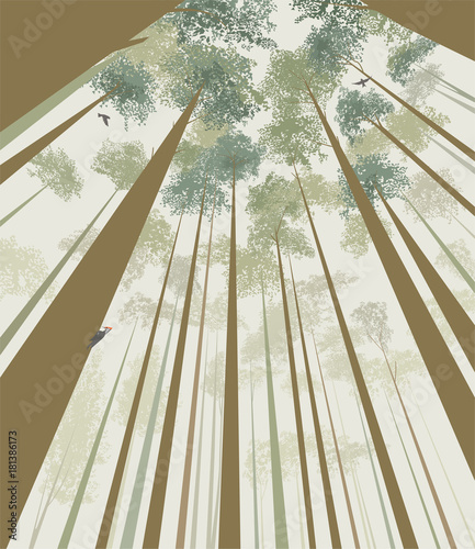 Trees pierce the sky