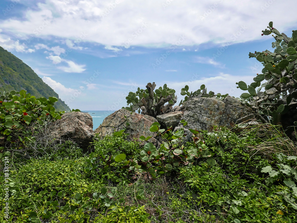 Travel photography - wild coast next to Caracas, Venezuela.