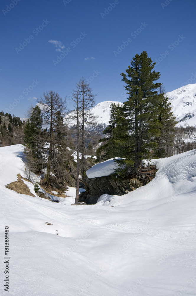 Obraz premium Winterlandschaft