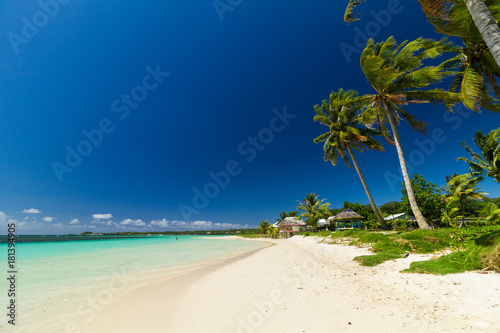 Fototapeta Naklejka Na Ścianę i Meble -  palm trees ocean beach samoa
