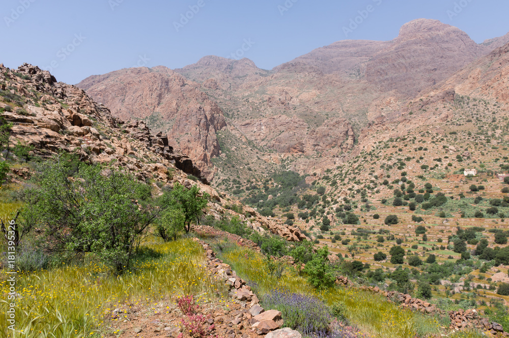 Montagnes autour de Tagdicht, Tafraout, Maroc