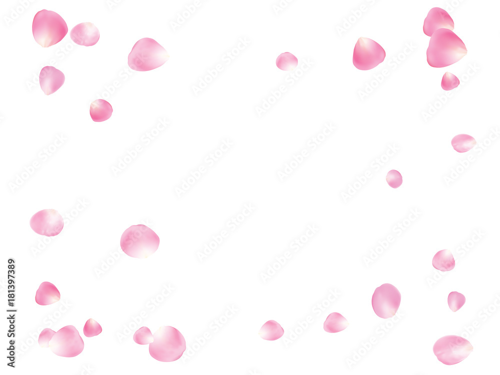 Flying Rose Petals Confetti. Vector Realistic Blossom Illustration. Love, Wedding, Valentine Decoration, Japanese Sakura Ornament. Falling Down Rose Petals Confetti, Magic Showering Floral Background