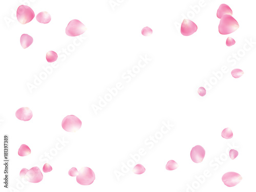 Flying Rose Petals Confetti. Vector Realistic Blossom Illustration. Love, Wedding, Valentine Decoration, Japanese Sakura Ornament. Falling Down Rose Petals Confetti, Magic Showering Floral Background © graficanto