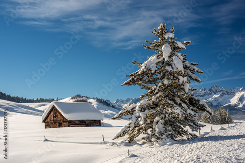 Cabin near Stanley Idahi winter with snow covered pine tree