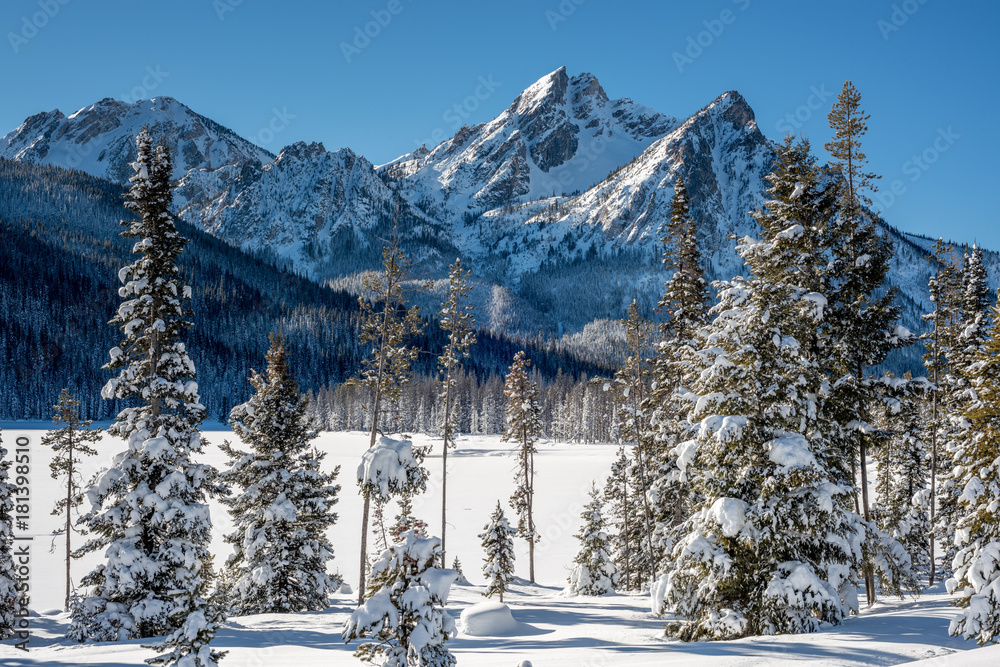 Stanley Lake in winter with snow covered trees