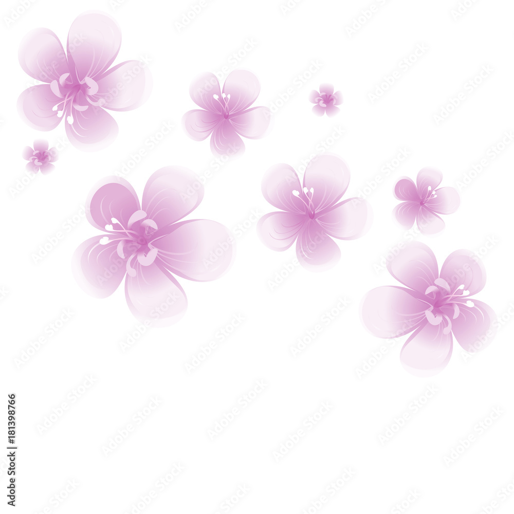 Purple Violet flowers isolated on White background. Apple-tree flowers. Cherry blossom. Vector