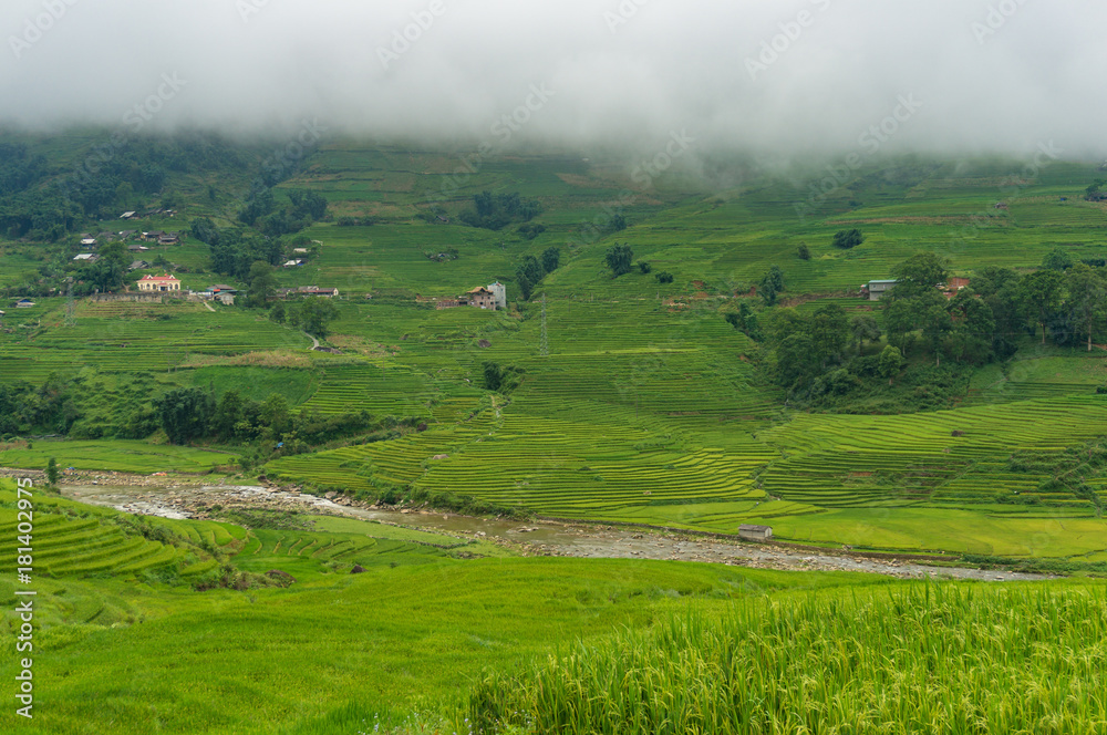 Vietnamese countryside background with green rice terraces
