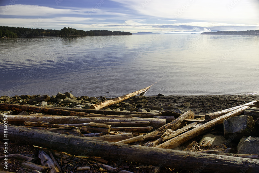 Logs in Transfer Beach at sunset in Vancouver Island, BC, Canada