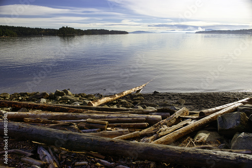 Logs in Transfer Beach at sunset in Vancouver Island, BC, Canada © roxxyphotos