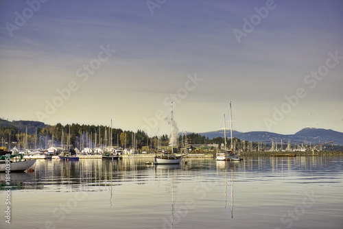 View of Ladysmith marina at sunset, taken in Vancouver Island, BC, Canada photo