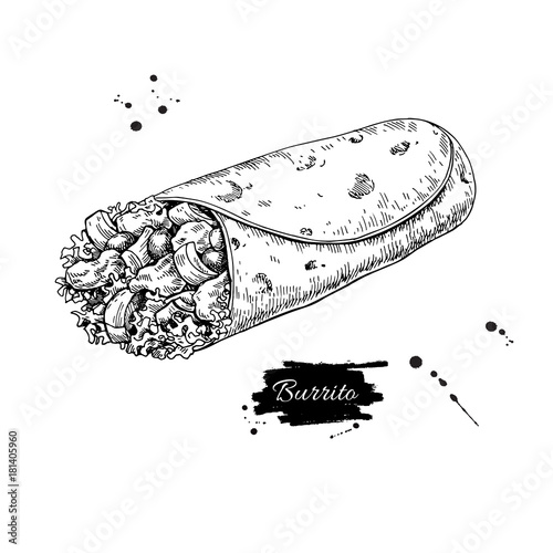 Burrito drawing. Traditional mexican food vector illustration