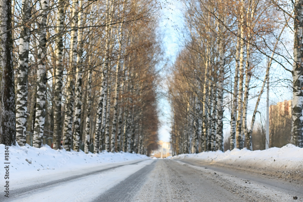 Winter landscape snow covered expanses. A park in the winter in Winter landscape snow covered expanses. A park in the winter in