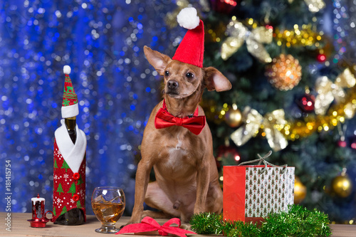a yellow dog on wooden boards with a red hat and a red bow waiting for Christmas, on the background of a bokeh with a decorated Christmas tree © aneduard