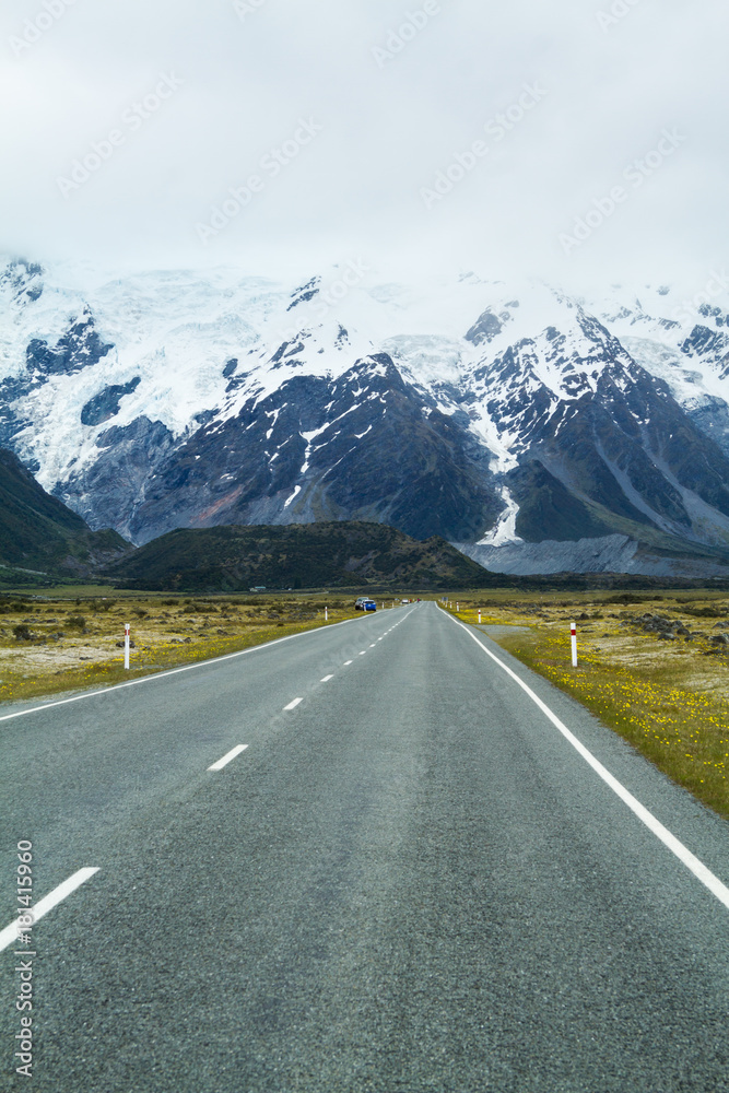 Fototapeta premium lupins lake tekapo new zealan