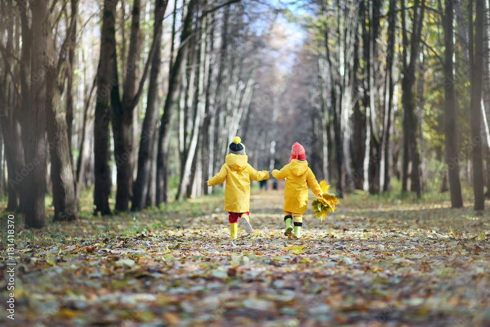Fototapeta premium Children are walking in the autumn park 