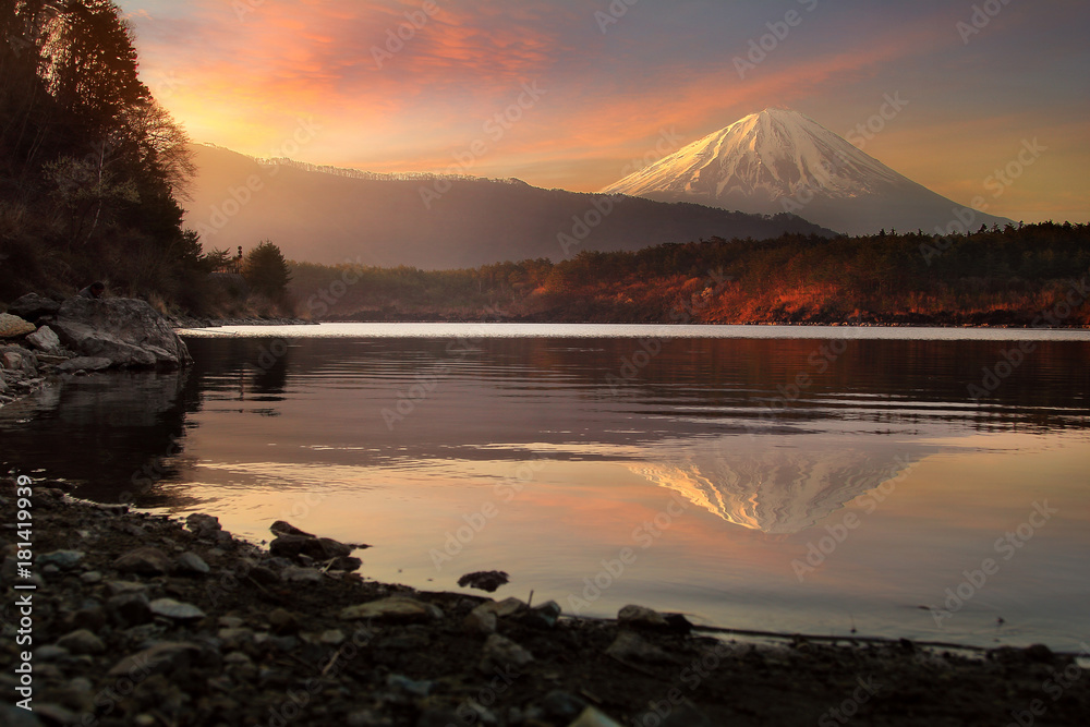 Beautiful scenery during sunrise of Lake Saiko in Japan with beautiful water reflection of Mountain Fuji. Travel and Attraction Concept