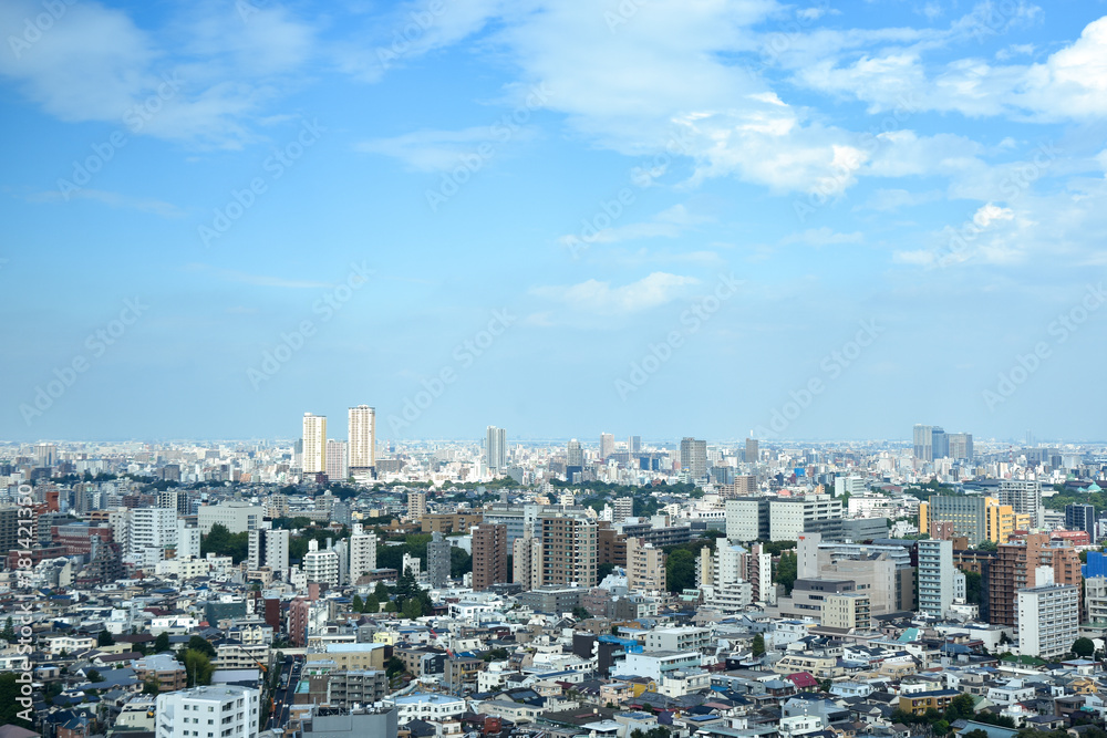 Fototapeta premium Krajobraz Tokio