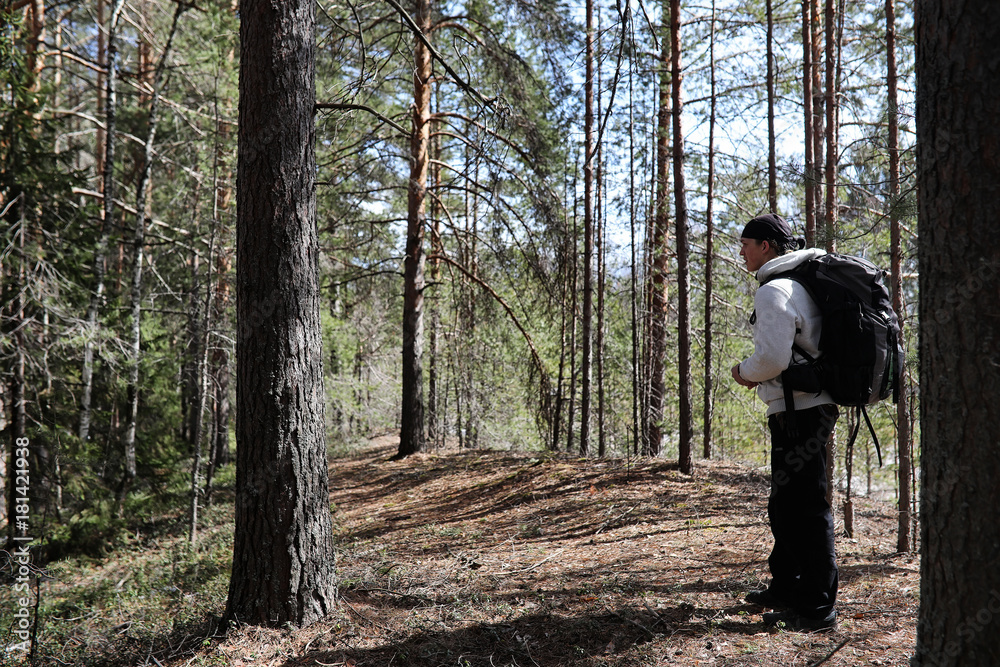 A man is a tourist in a pine forest with a backpack. A hiking tr