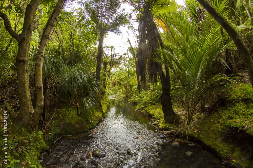 Obraz premium kare kare falls new zealand