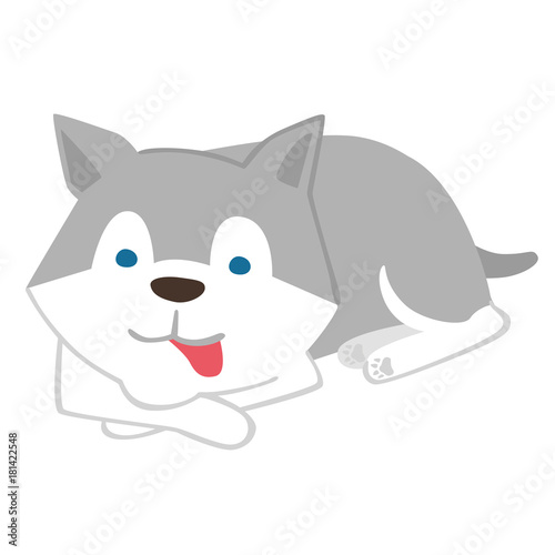 dog,siberian husky,illustration