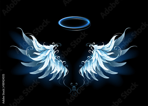 Blue angel wings