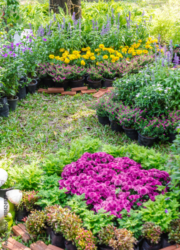 Beautiful flower garden on summer./ Landscaped flower garden with lots of colorful blooms on summer. 