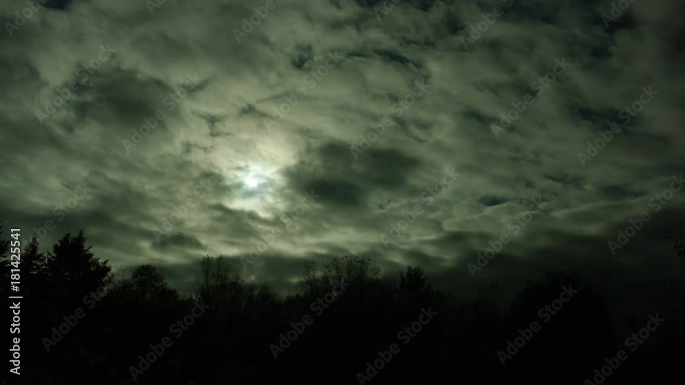 Silhouette of trees as the sun peaks through some quick moving clouds in the sky Silhouette of trees as the sun peaks through some quick moving clouds in the sky