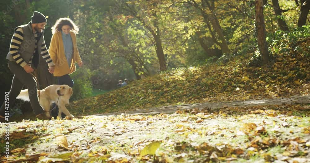 Young happy couple strolling through the autumn park with a cute dog on the leash and holding hand in hand. Sunny day. Great mood. Outdoors