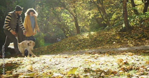 Young happy couple strolling through the autumn park with a cute dog on the leash and holding hand in hand. Sunny day. Great mood. Outdoors