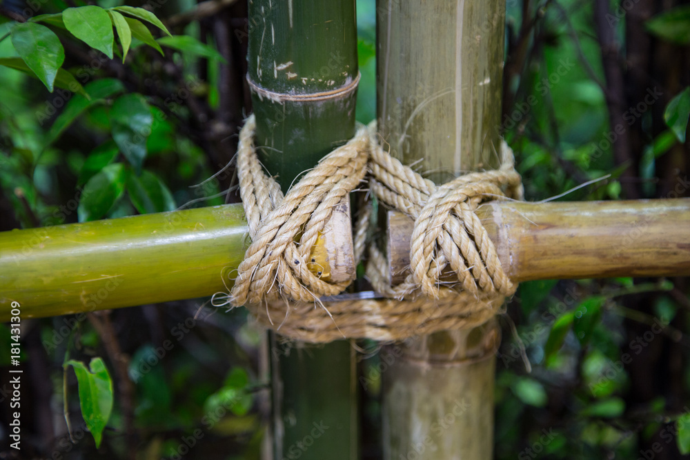 Close-up of bamboo fence lashing joint connection Stock Photo