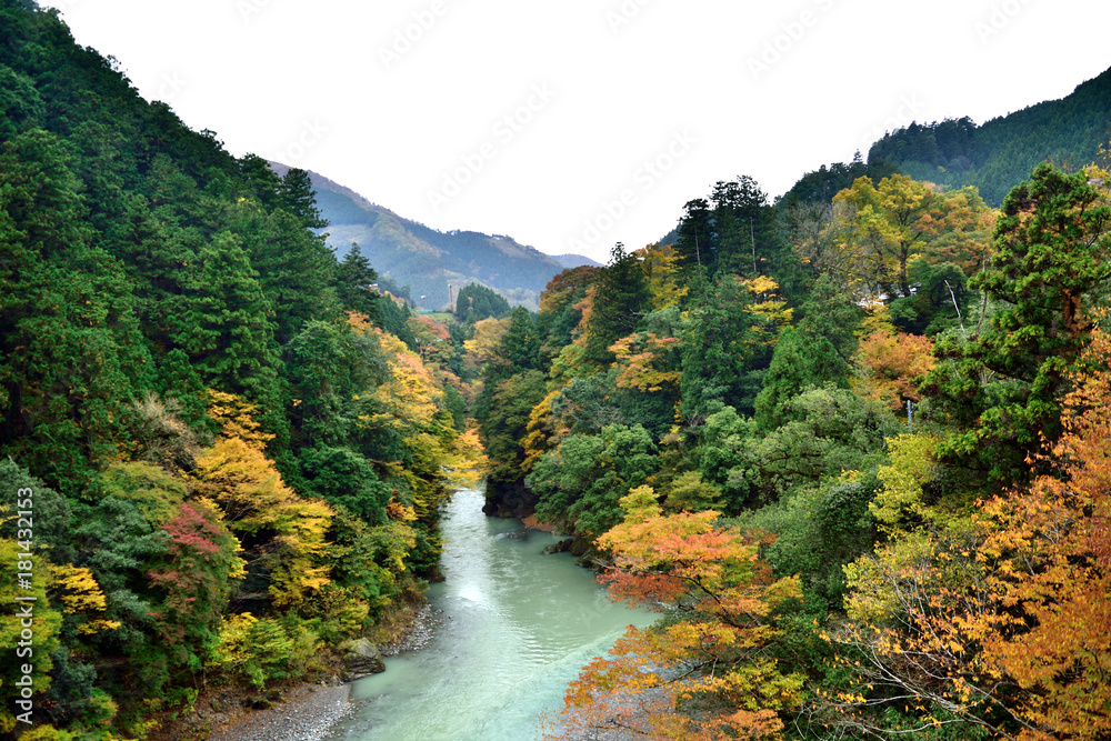 秋の奥多摩 氷川渓谷と山並み 秋の奥多摩 氷川渓谷と山並み