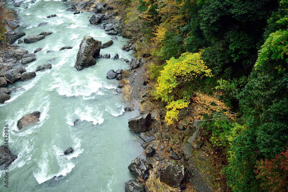 秋の奥多摩 御岳渓谷 多摩川と奇石