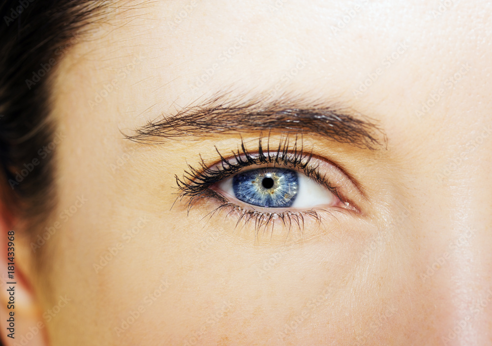 A beautiful insightful look woman's eye. Close up shot A beautiful insightful look woman's eye. Close up shot