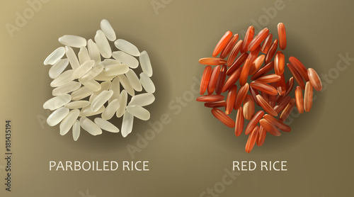 Two handfuls of white parboiled and red cargo rice, isolated on a brown background, realistic vector. Healthy diet, vegetarian food, design element
