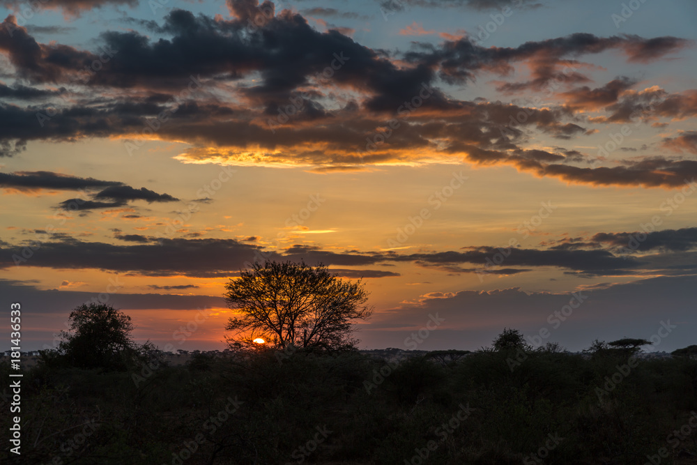 Sonnenuntergang und Gewitterwolken über der Serengeti - Tansania