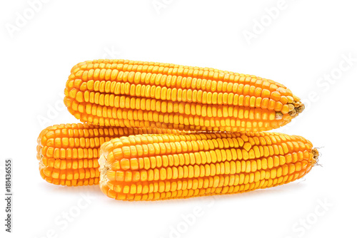 dried corn on the cob isolated on white background