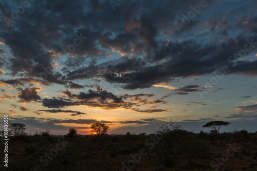 Sonnenuntergang über der Serengeti - Tansania - Afrika