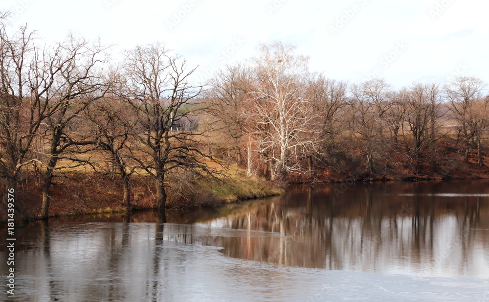 Late autumn on the pond.